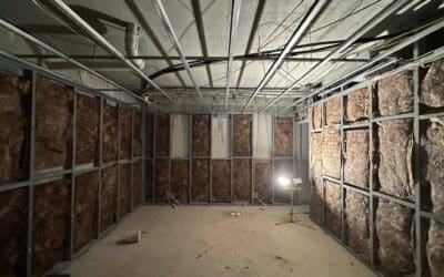 Engineering the Ultimate Escape: A Comprehensive Home Theatre